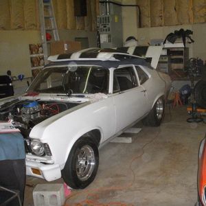 Meet your Posher, Darryl